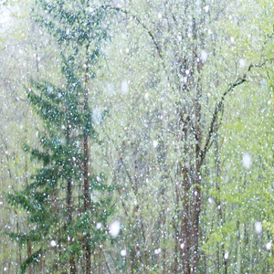 夜先锋影音资源
