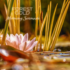 双飞两女视频一区二区
