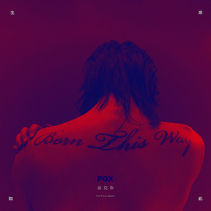 久久精品凹凸全集
