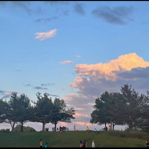 日本免费色情视频
