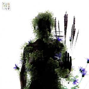 刘涛下面B好长大
