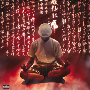 美国中老年人日逼毛片
