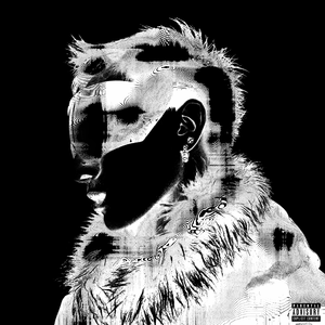 伊人网伊人影院
