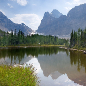 幸福生活丈母娘我老公一级大片国产大片泰国语
