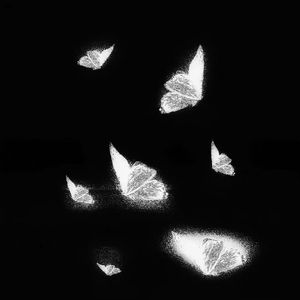 景甜激情无码片AV
