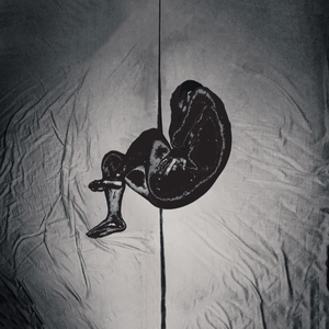 西安沪远航电线电缆有限责任公司
