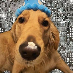 夜先锋影音资源
