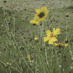 八卦海AV高清在线播放
