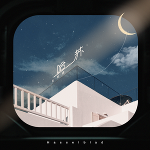 张家界小白龙16分钟演出网盘
