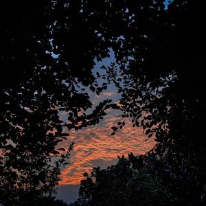 一本大道香蕉高清视频视频
