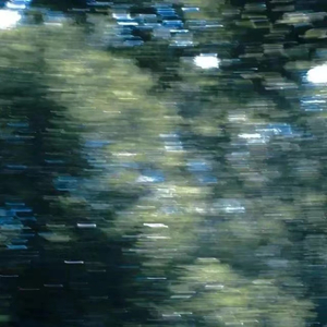 久久99青青精品免费观看
