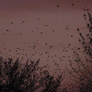 👙🈲㊙️免费网站入口
