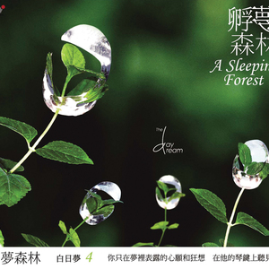 我爱搞,52g无码网站
