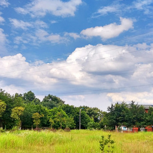 美国中老年人日逼毛片
