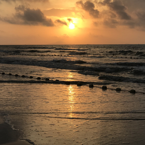 张家界小白龙16分钟演出网盘
