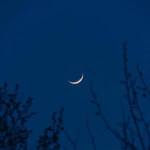 偷窥丶亚洲丶少妇
