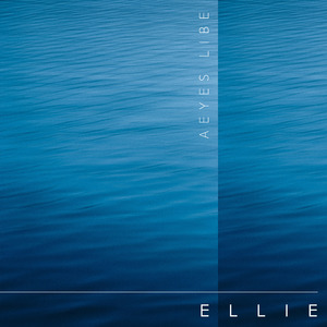 欧美熟女激情一区二区三区
