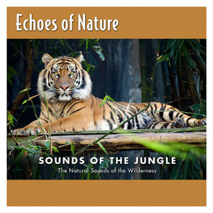 入室强奸美女人啊啊在線播放
