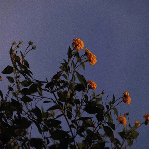 男同GaYGAYS✅自慰偷拍
