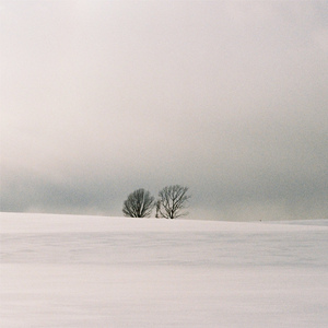 免费看黃色AAAAAA 片
